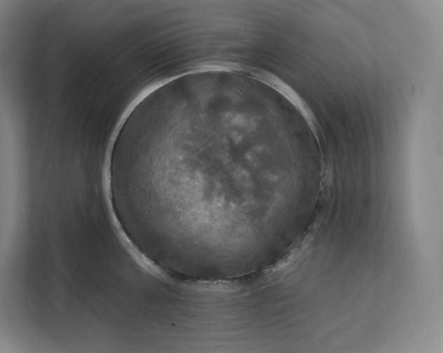 X0000112200811200908211539