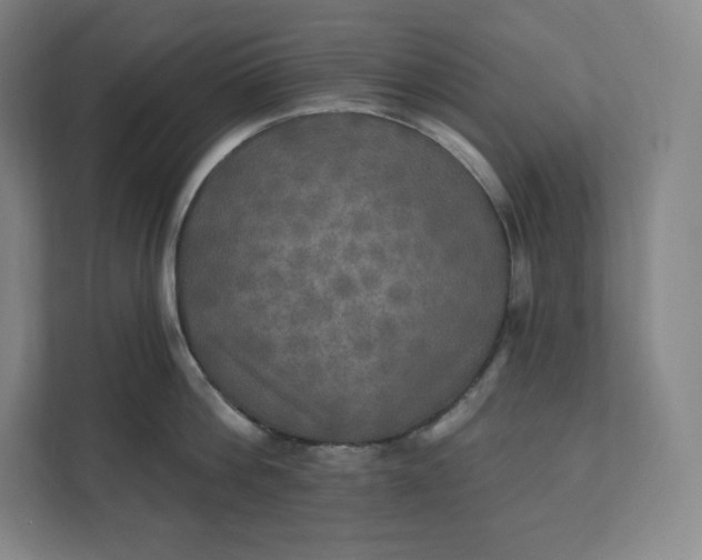 X0000112200812200908211539