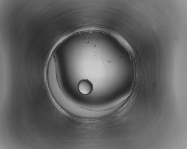 X0000112200813200908211539