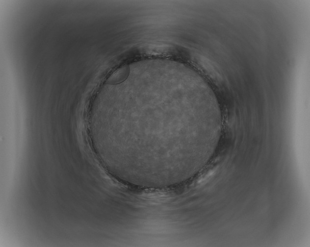 X0000112200817200908211538