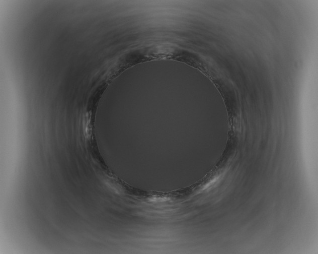 X0000112200818200908211538