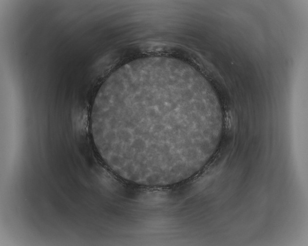 X0000112200820200908211539