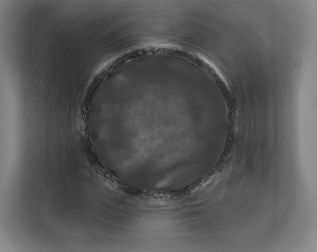 X0000112200823200908211539