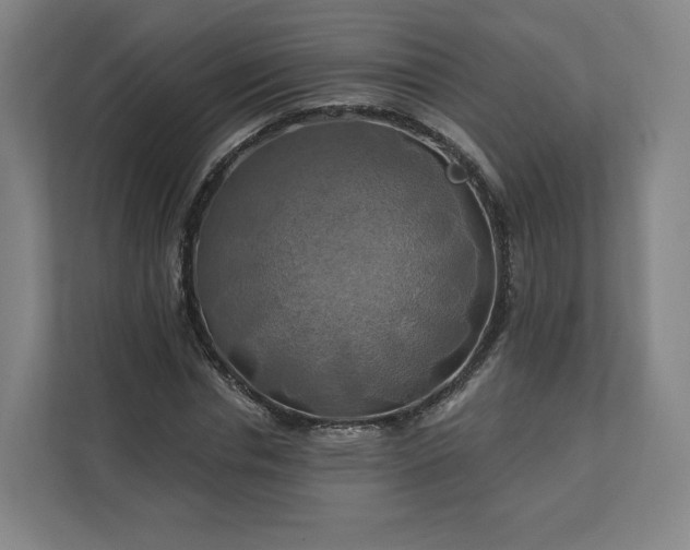 X0000112200826200908211539