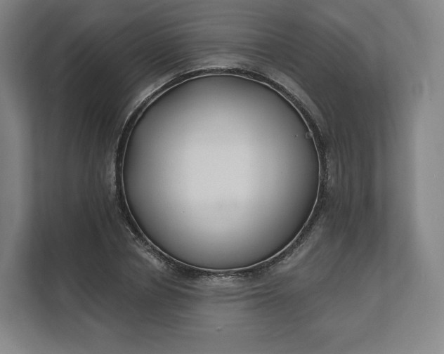 X0000112200834200908211539