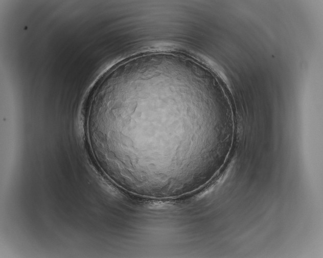 X0000112200835200908211539