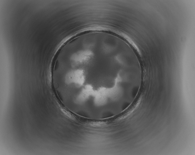 X0000112200837200908211539