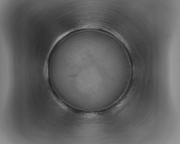 X0000112200838200908211539