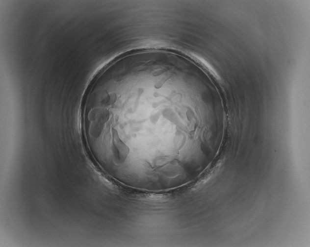 X0000112200839200908211539