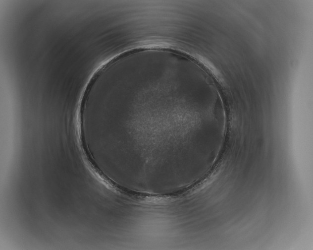 X0000112200840200908211539