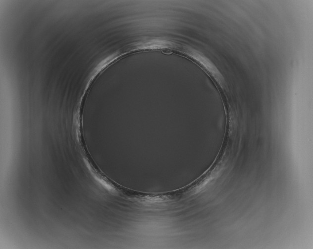 X0000112200850200908211539