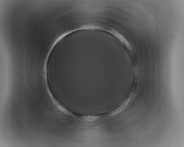 X0000112200854200908211539