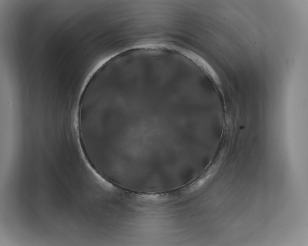 X0000112200855200908211539