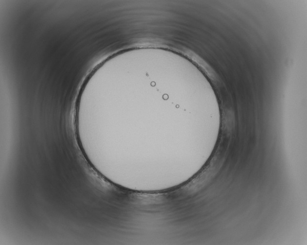 X0000112200856200908211539