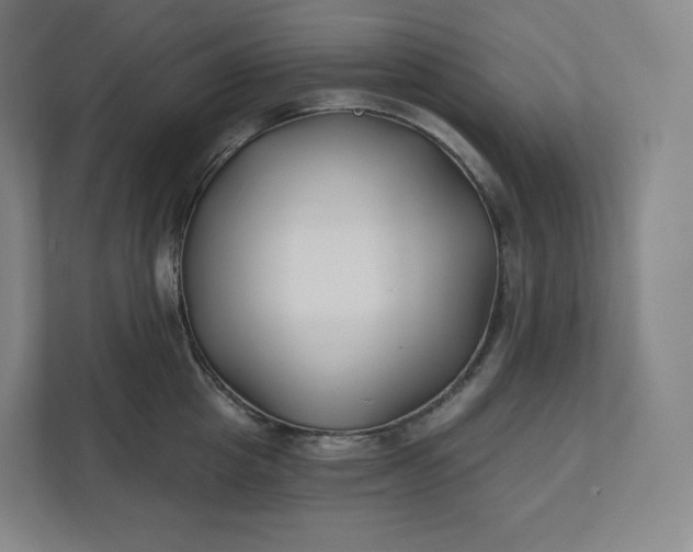 X0000112200857200908211539