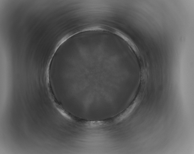 X0000112200858200908211539