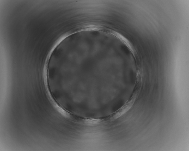 X0000112200859200908211539