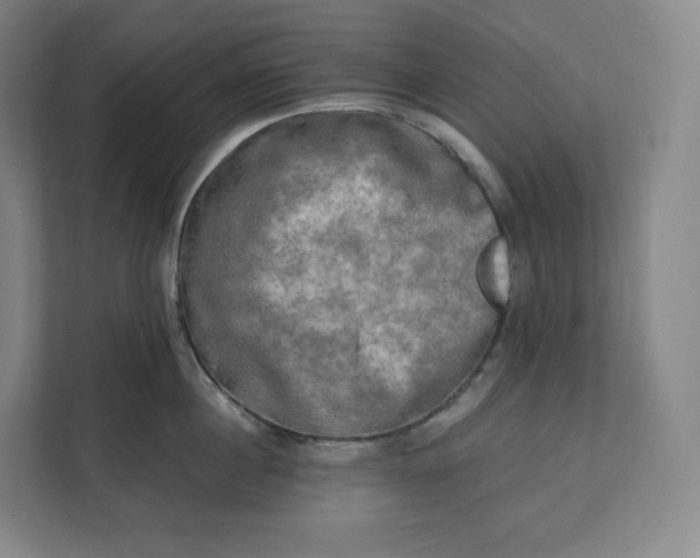 X0000112200860200908211539