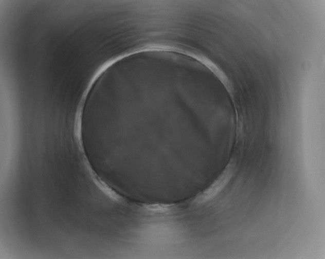 X0000112200862200908211539