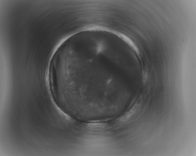 X0000112200863200908211539