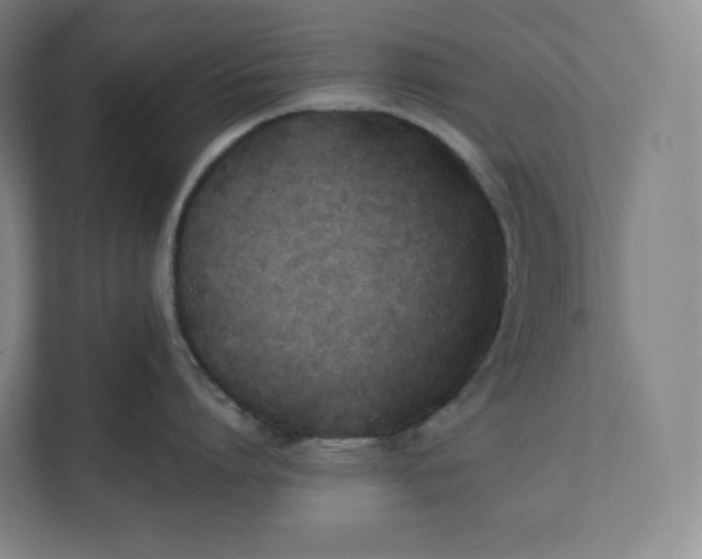 X0000112200864200908211539