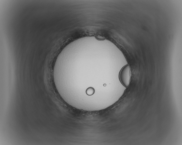 X0000112200865200908211538