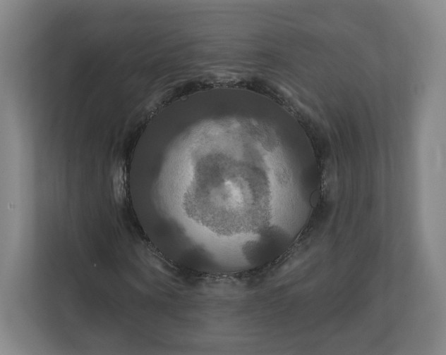 X0000112200866200908211538