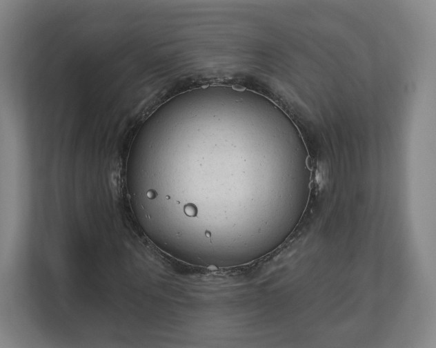 X0000112200867200908211538