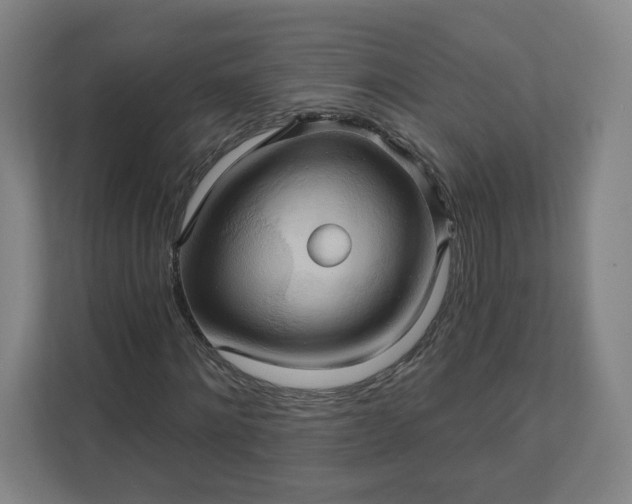 X0000112200868200908211538