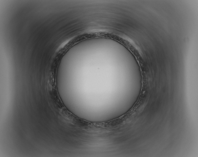 X0000112200871200908211538