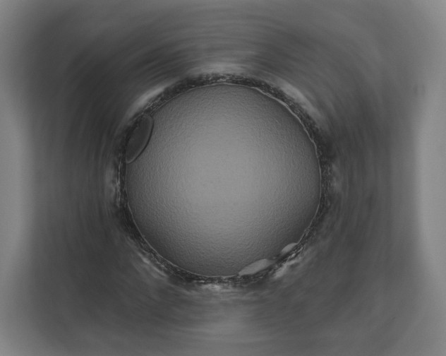 X0000112200872200908211538