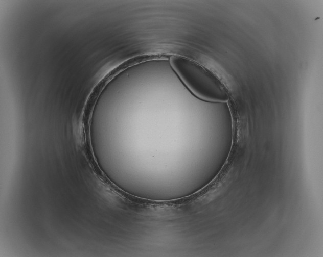 X0000112200876200908211538