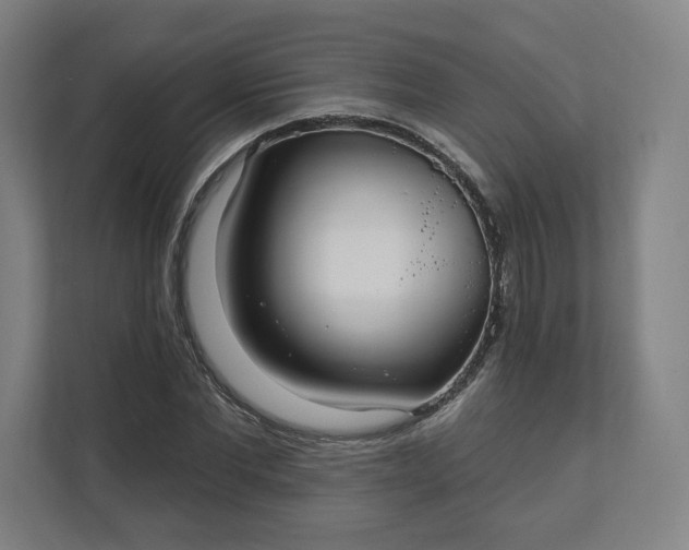 X0000112200877200908211538