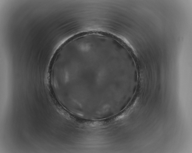 X0000112200879200908211538