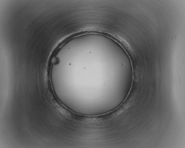 X0000112200880200908211538