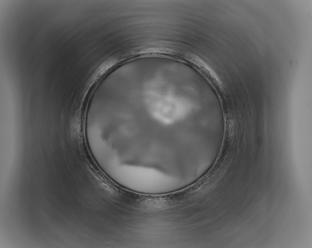 X0000112200882200908211538