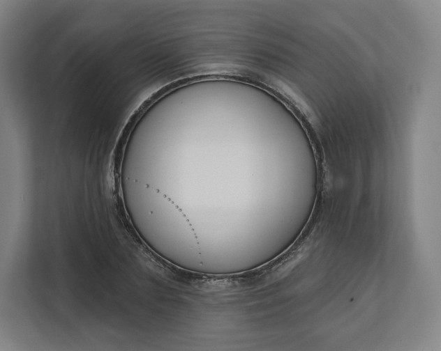 X0000112200883200908211538