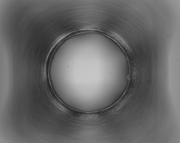 X0000112200884200908211538