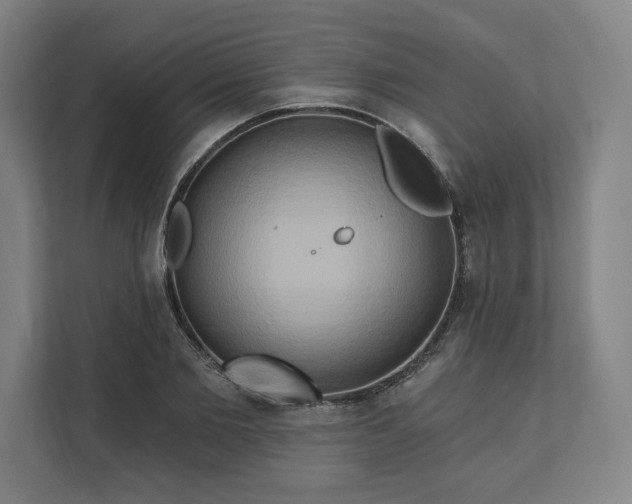 X0000112200885200908211538