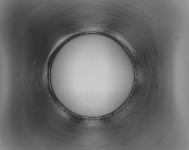 X0000112200886200908211538