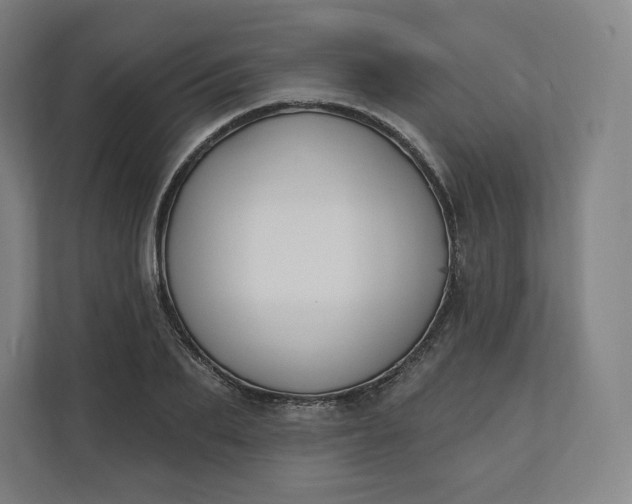 X0000112200887200908211538