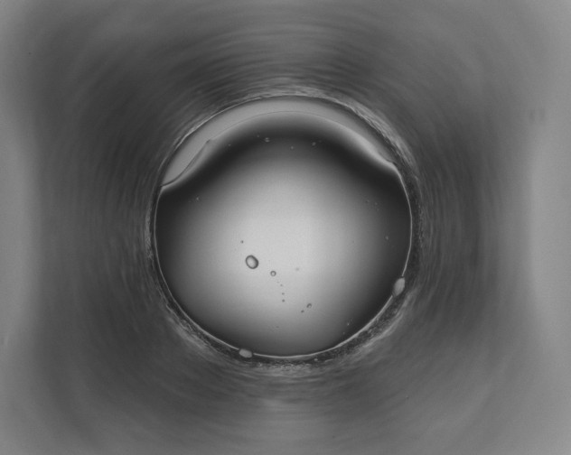 X0000112200889200908211538