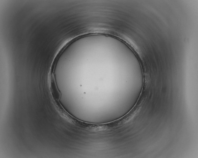 X0000112200891200908211538