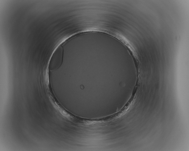 X0000112200892200908211538