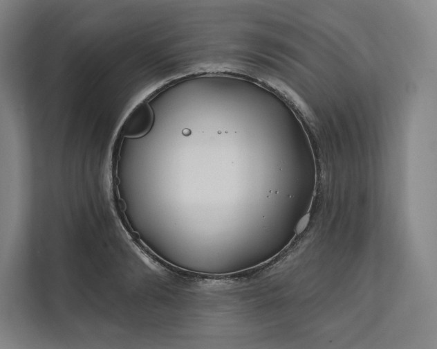 X0000112200894200908211538