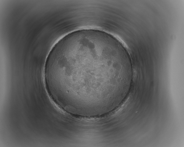 X0000112200895200908211538