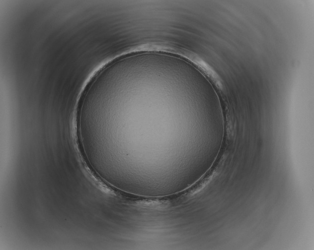 X0000112200896200908211538