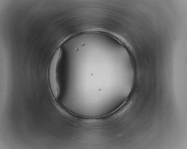 X0000112200897200908211538