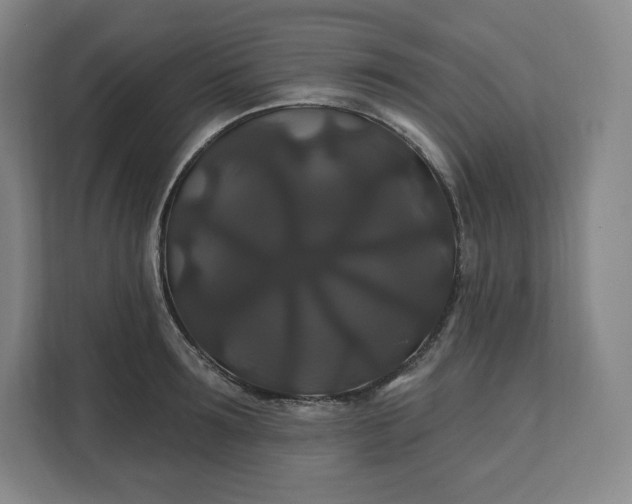 X0000112200899200908211538