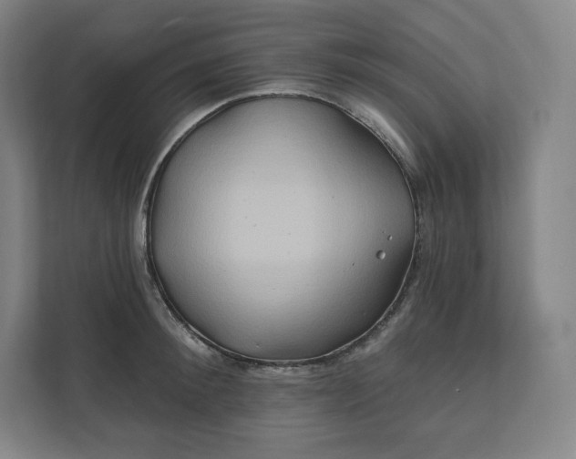 X0000112200900200908211538